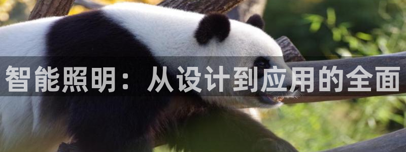 智能照明：从设计到应用的全面