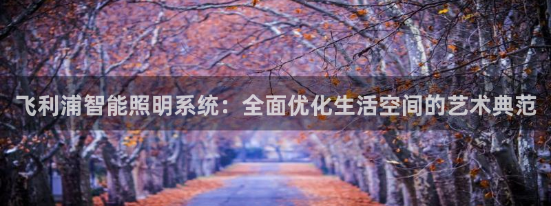飞利浦智能照明系统：全面优化生活空间的艺术典范