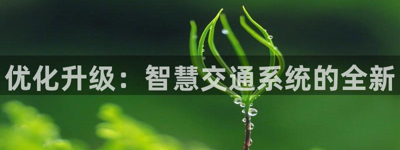优化升级：智慧交通系统的全新