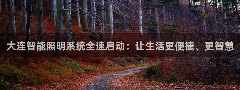 大连智能照明系统全速启动：让生活更便捷、更智慧