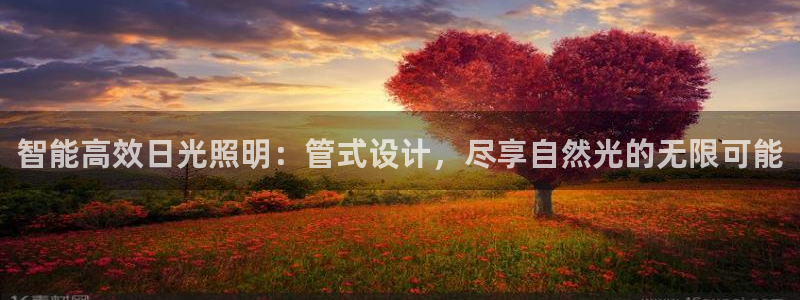 智能高效日光照明:管式设计,尽享自然光的无限可能