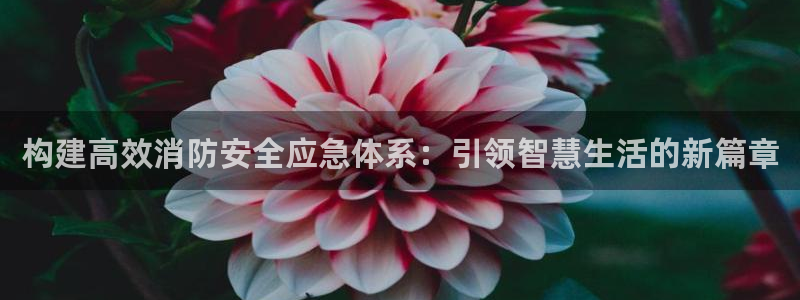 构建高效消防安全应急体系：引领智慧生活的