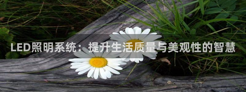 LED照明系统:提升生活质量与美观性的智慧
