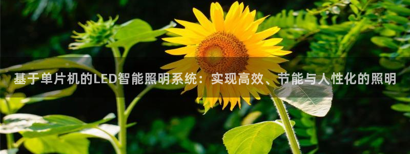 基于单片机的LED智能照明系统：实现高效、节能与人性化的照明
