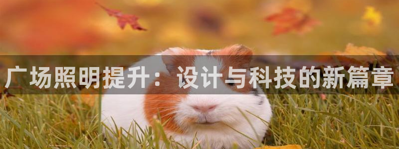 广场照明提升：设计与科技的新篇章