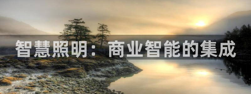 智慧照明：商业智能的集成