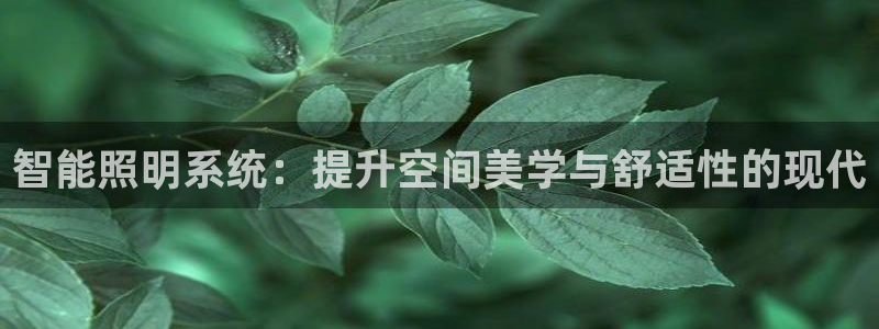 智能照明系统：提升空间美学与舒适性的现代