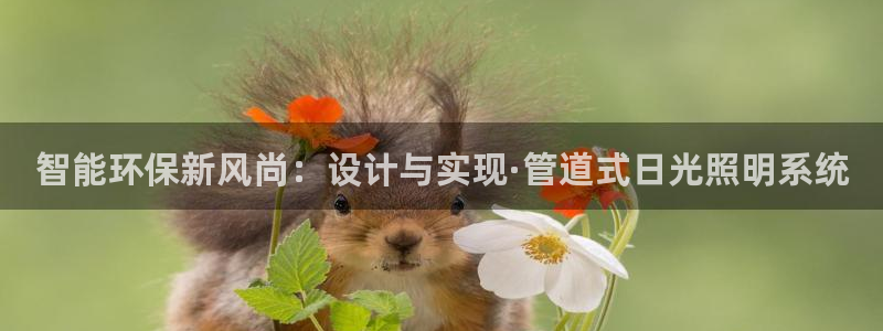 智能环保新风尚：设计与实现·管道式日光照明系统