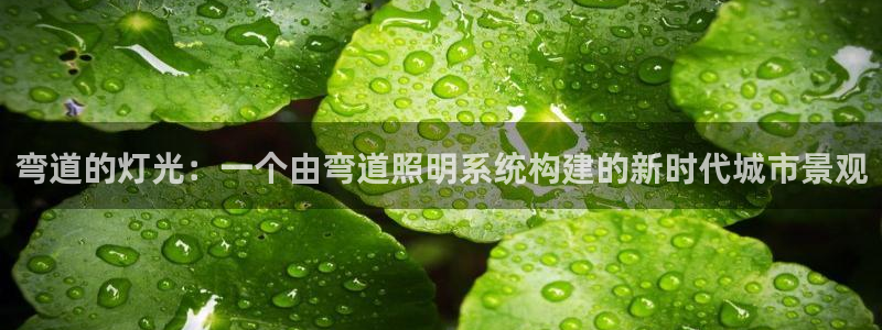 弯道的灯光:一个由弯道照明系统构建的新时代城市景观