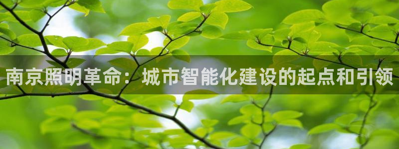 南京照明革命:城市智能化建设的起点和引领