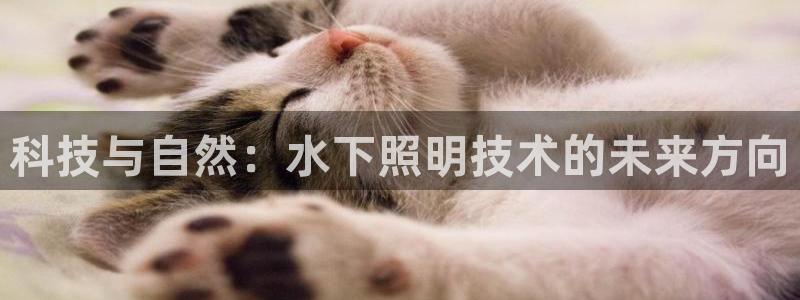 科技与自然：水下照明技术的未来方向