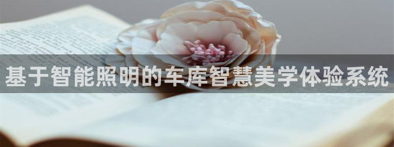 基于智能照明的车库智慧美学体验系统