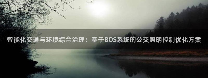 智能化交通与环境综合治理：基于BOS系统