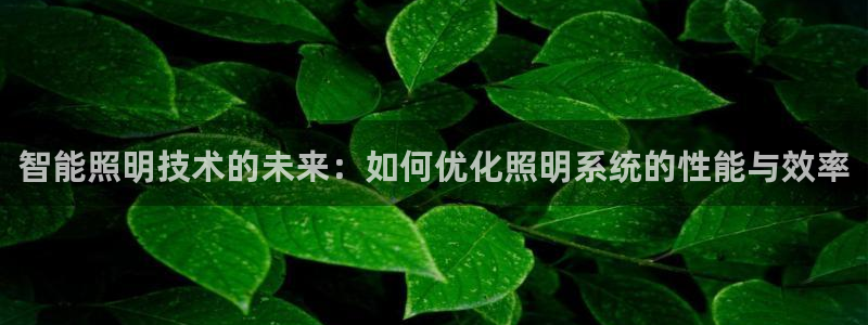 智能照明技术的未来：如何优化照明系统的性能与效率