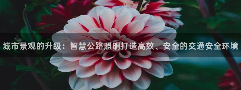 城市景观的升级：智慧公路照明打造高效、安全的交通安全环境