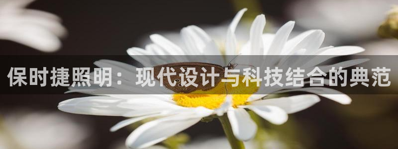 保时捷照明：现代设计与科技结合的典范