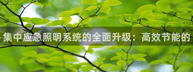 集中应急照明系统的全面升级：高效节能的