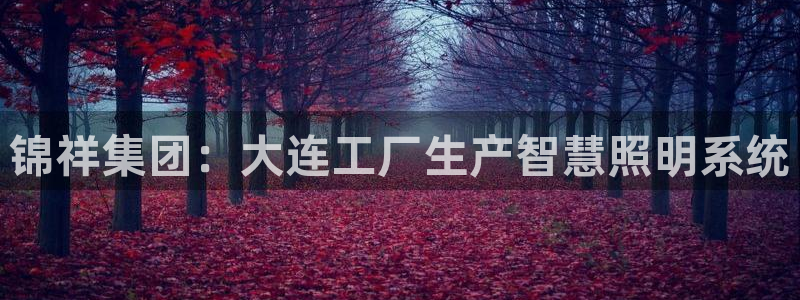 锦祥集团：大连工厂生产智慧照明系统