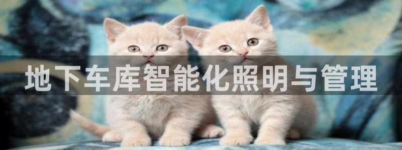 地下车库智能化照明与管理