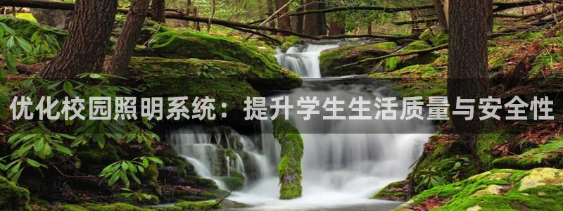 优化校园照明系统：提升学生生活质量与安全性