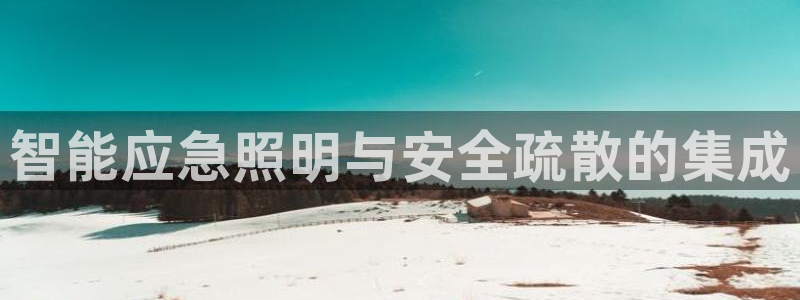 智能应急照明与安全疏散的集成