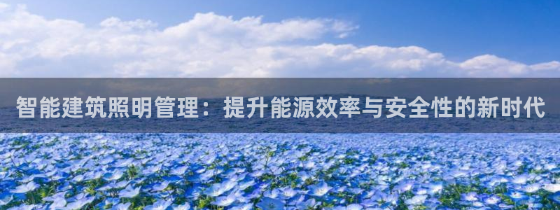 智能建筑照明管理:提升能源效率与安全性的新时代