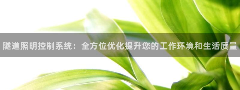 隧道照明控制系统：全方位优化提升您的工作环境和生活质量