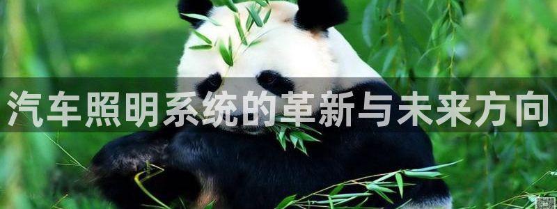 汽车照明系统的革新与未来方向