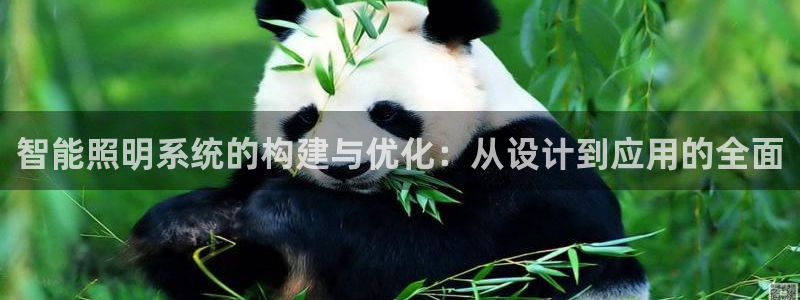 智能照明系统的构建与优化：从设计到应用的全面