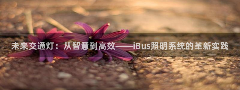 未来交通灯：从智慧到高效——iBus照明系统的革新实践