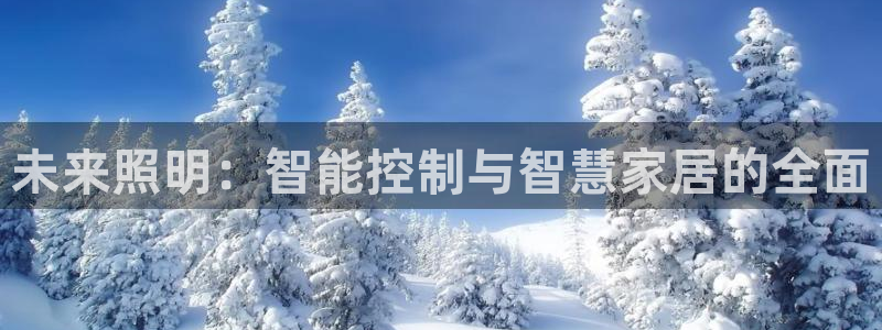 未来照明：智能控制与智慧家居的全面