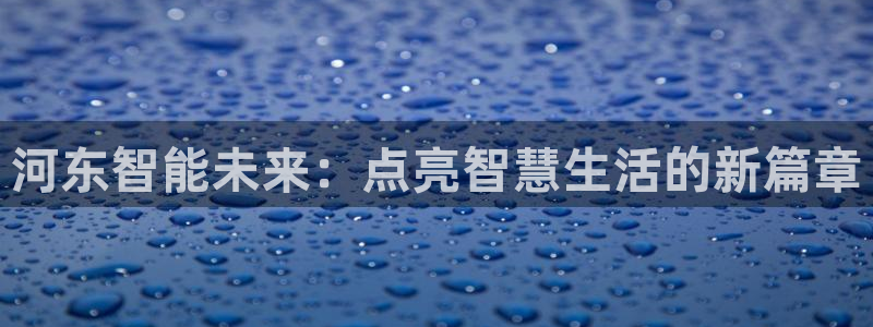 河东智能未来：点亮智慧生活的新篇章