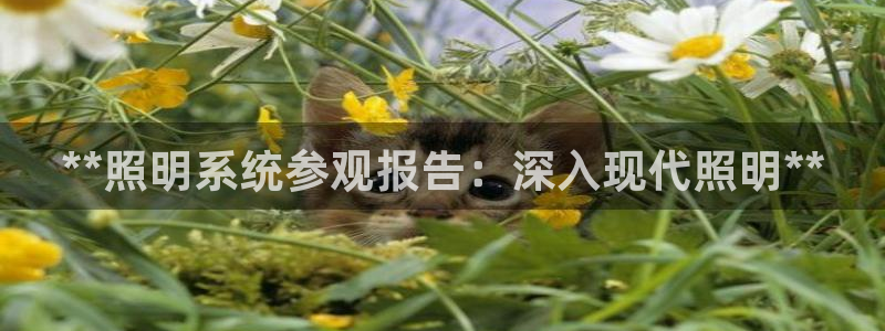 **照明系统参观报告：深入现代照明**