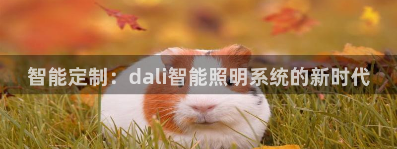 智能定制：dali智能照明系统的新时代
