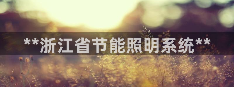 **浙江省节能照明系统**