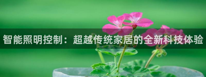 智能照明控制：超越传统家居的全新科技体验