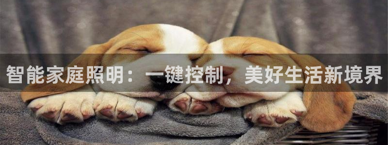 智能家庭照明：一键控制，美好生活新境界