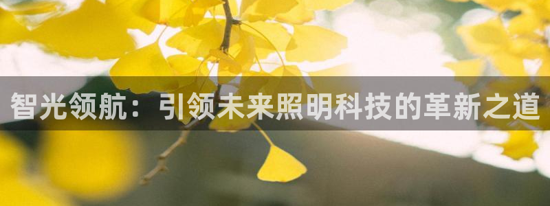智光领航：引领未来照明科技的革新之道