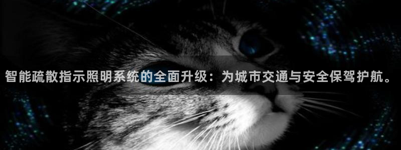 智能疏散指示照明系统的全面升级：为城市交通与安全保驾护航。