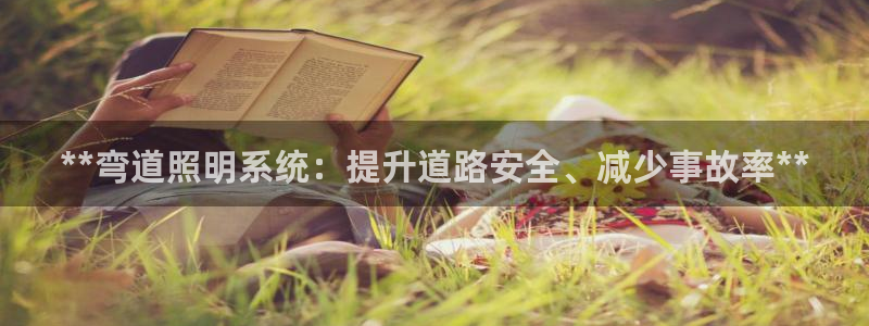 **弯道照明系统：提升道路安全、减少事故率**