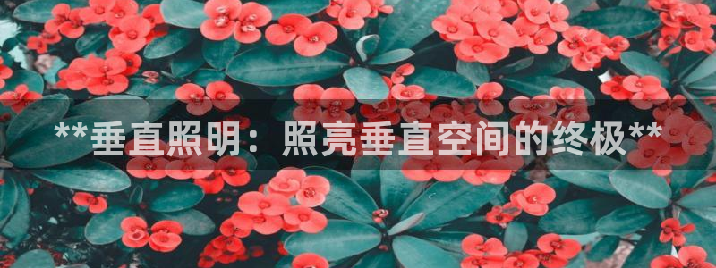 **垂直照明：照亮垂直空间的终极**