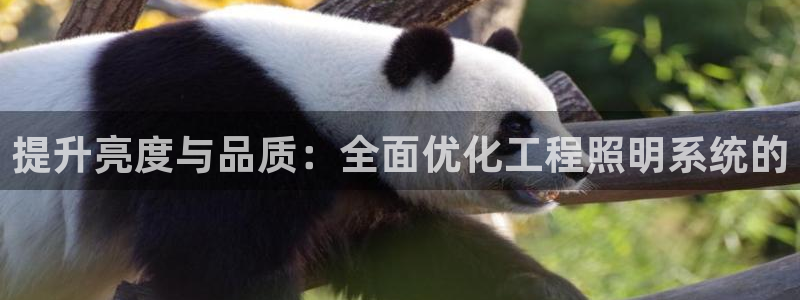 提升亮度与品质：全面优化工程照明系统的