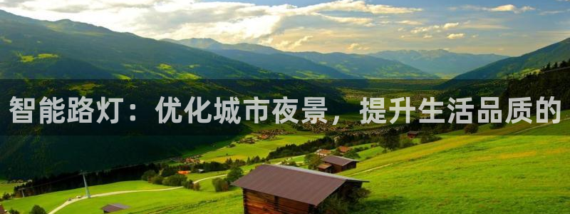 智能路灯：优化城市夜景，提升生活品质的