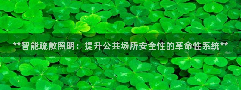 **智能疏散照明：提升公共场所安全性的革命性系统**