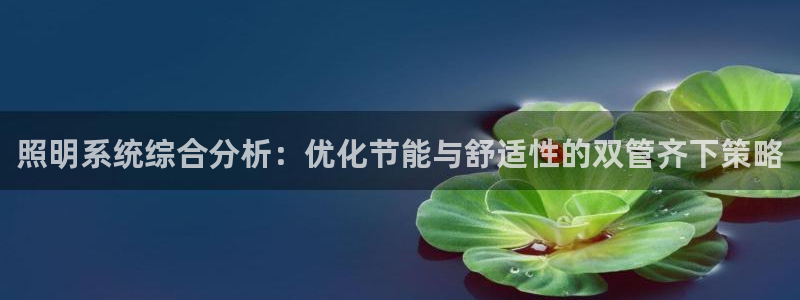 照明系统综合分析：优化节能与舒适性的双管齐下策略