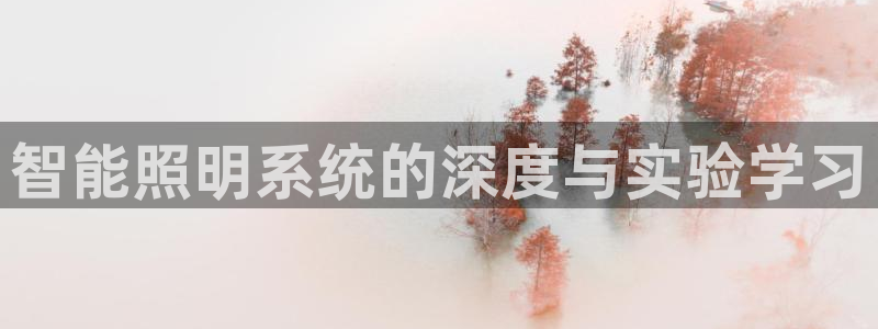 智能照明系统的深度与实验学习