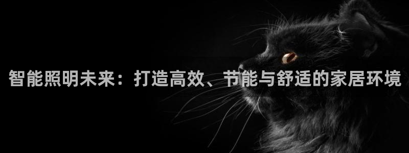 智能照明未来：打造高效、节能与舒适的家居环境