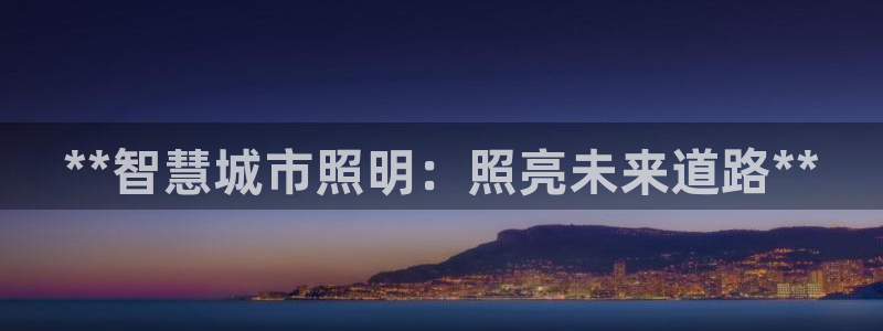 **智慧城市照明：照亮未来道路**