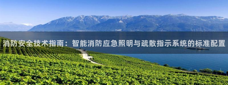 消防安全技术指南：智能消防应急照明与疏散指示系统的标准配置