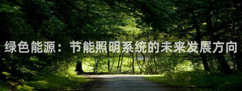 绿色能源：节能照明系统的未来发展方向